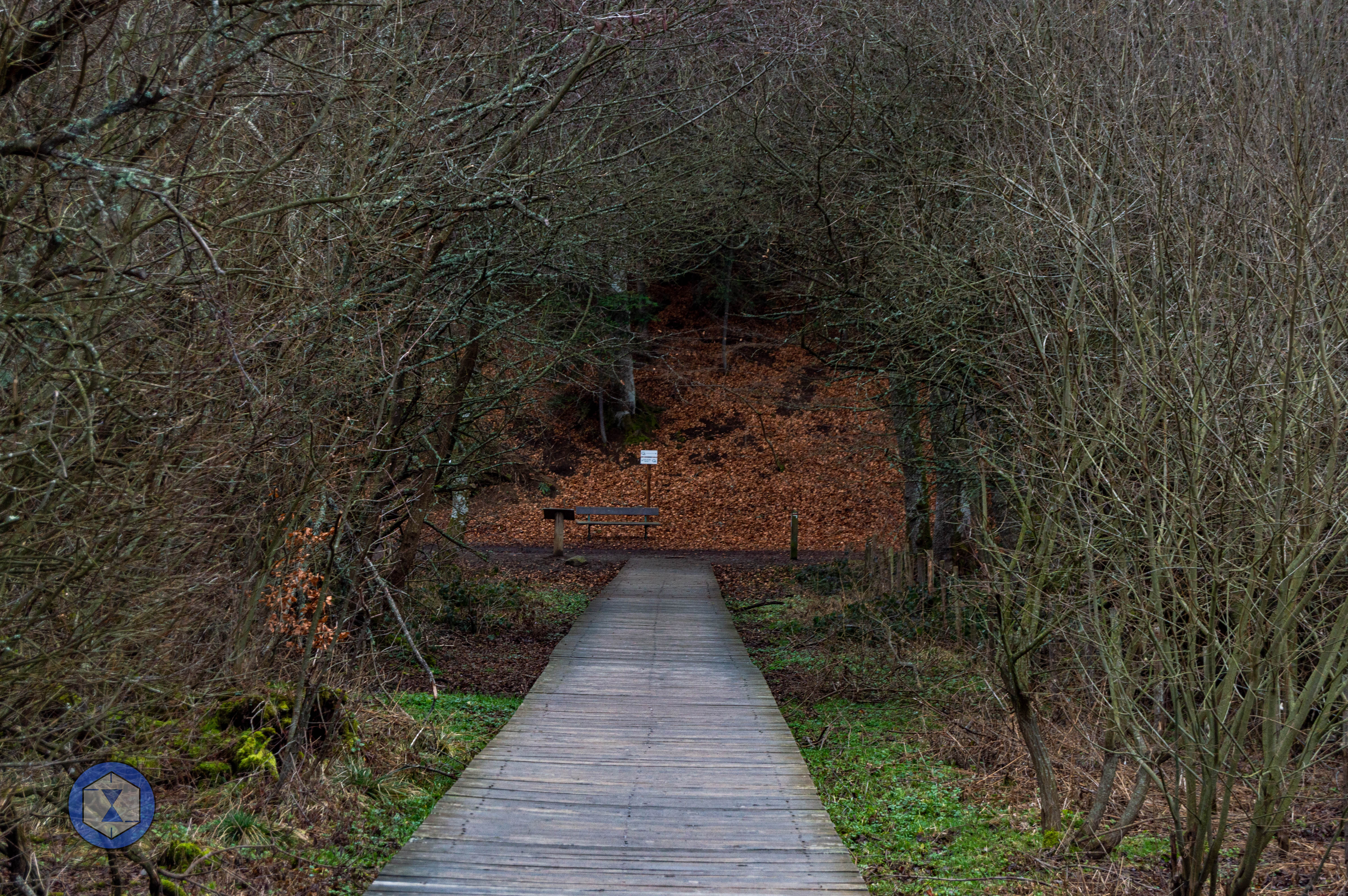 Super_Besse_2_68e24ae29aabc